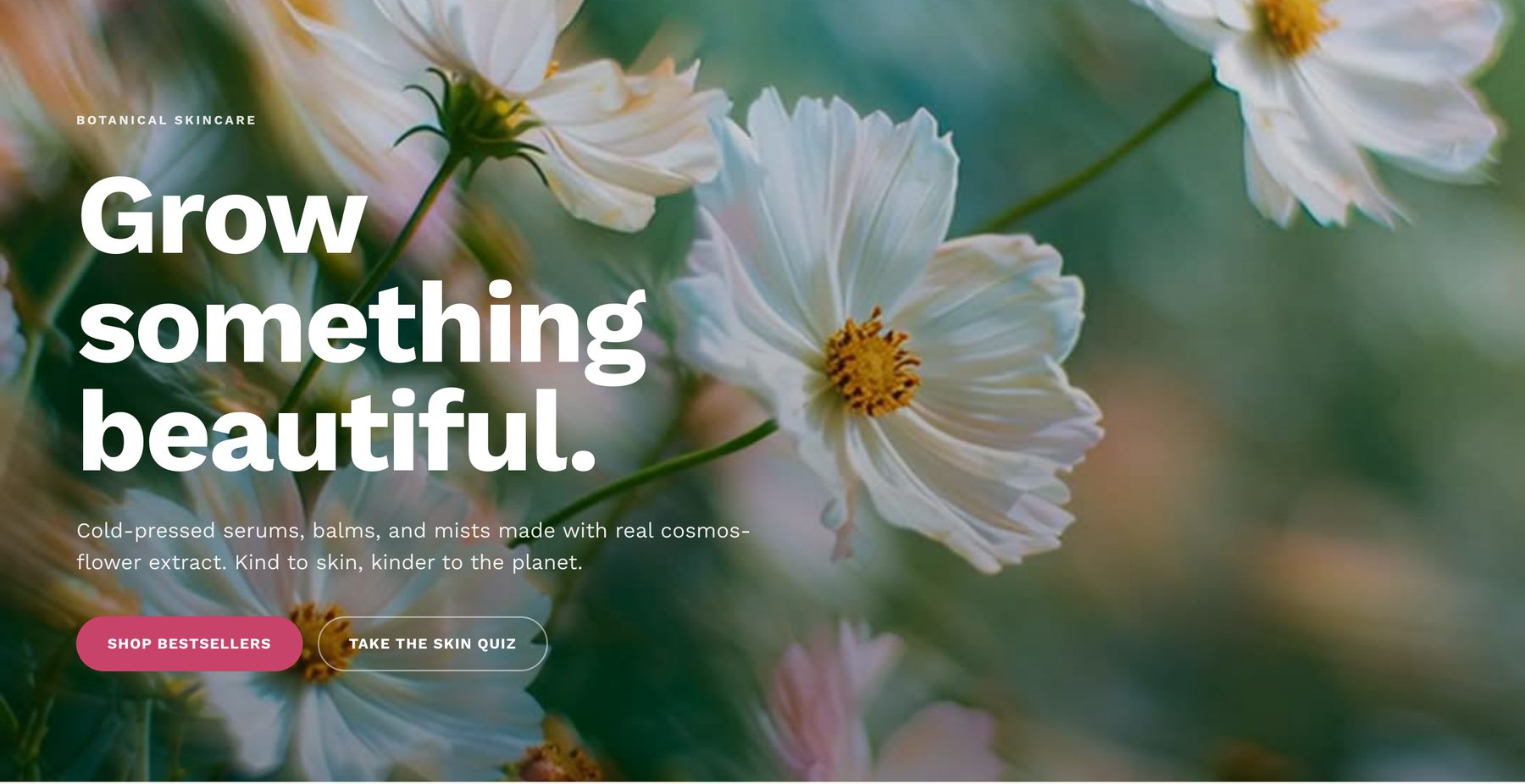 A full-bleed product hero with a headline and two buttons